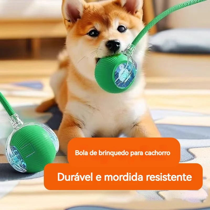 Anvinne PlayRoll Pro – Bola Interativa Inteligente Recarregável