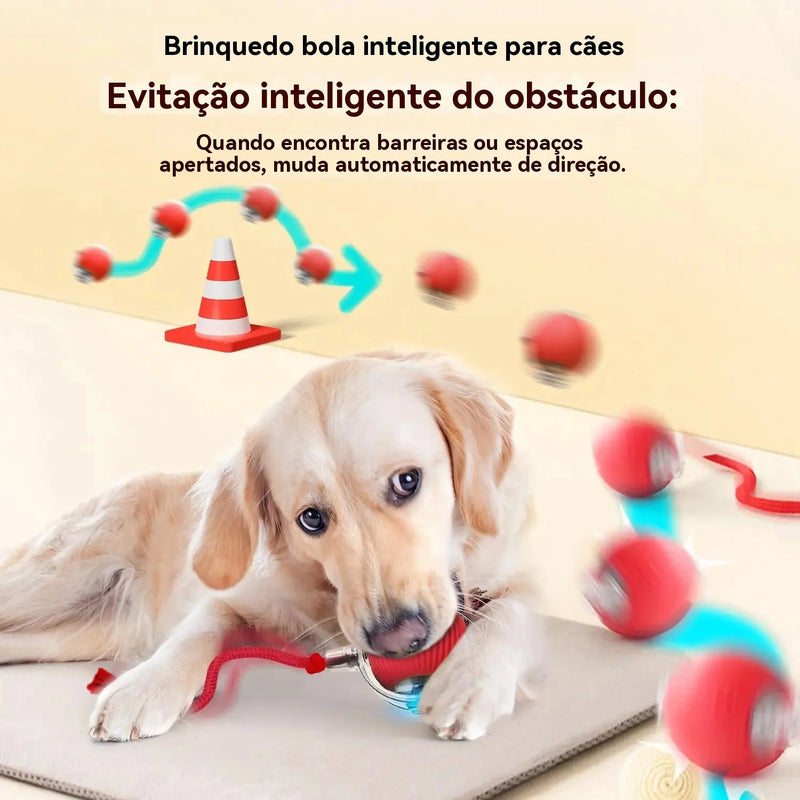 Anvinne PlayRoll Pro – Bola Interativa Inteligente Recarregável