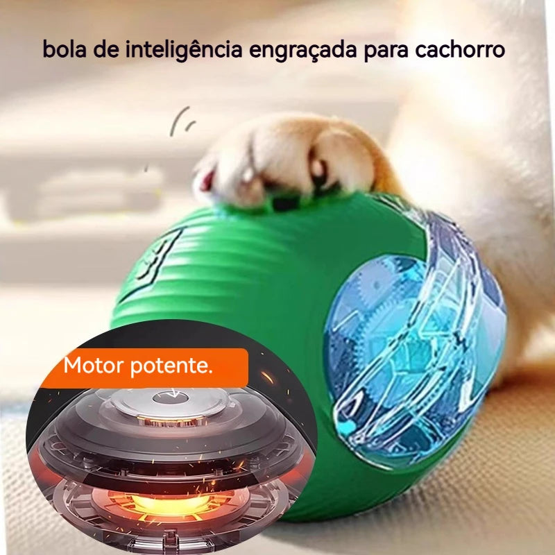 Anvinne PlayRoll Pro – Bola Interativa Inteligente Recarregável