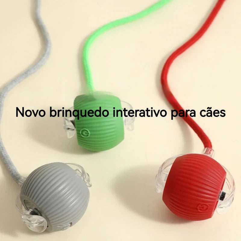 Anvinne PlayRoll Pro – Bola Interativa Inteligente Recarregável