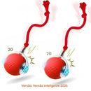 Anvinne PlayRoll Pro – Bola Interativa Inteligente Recarregável